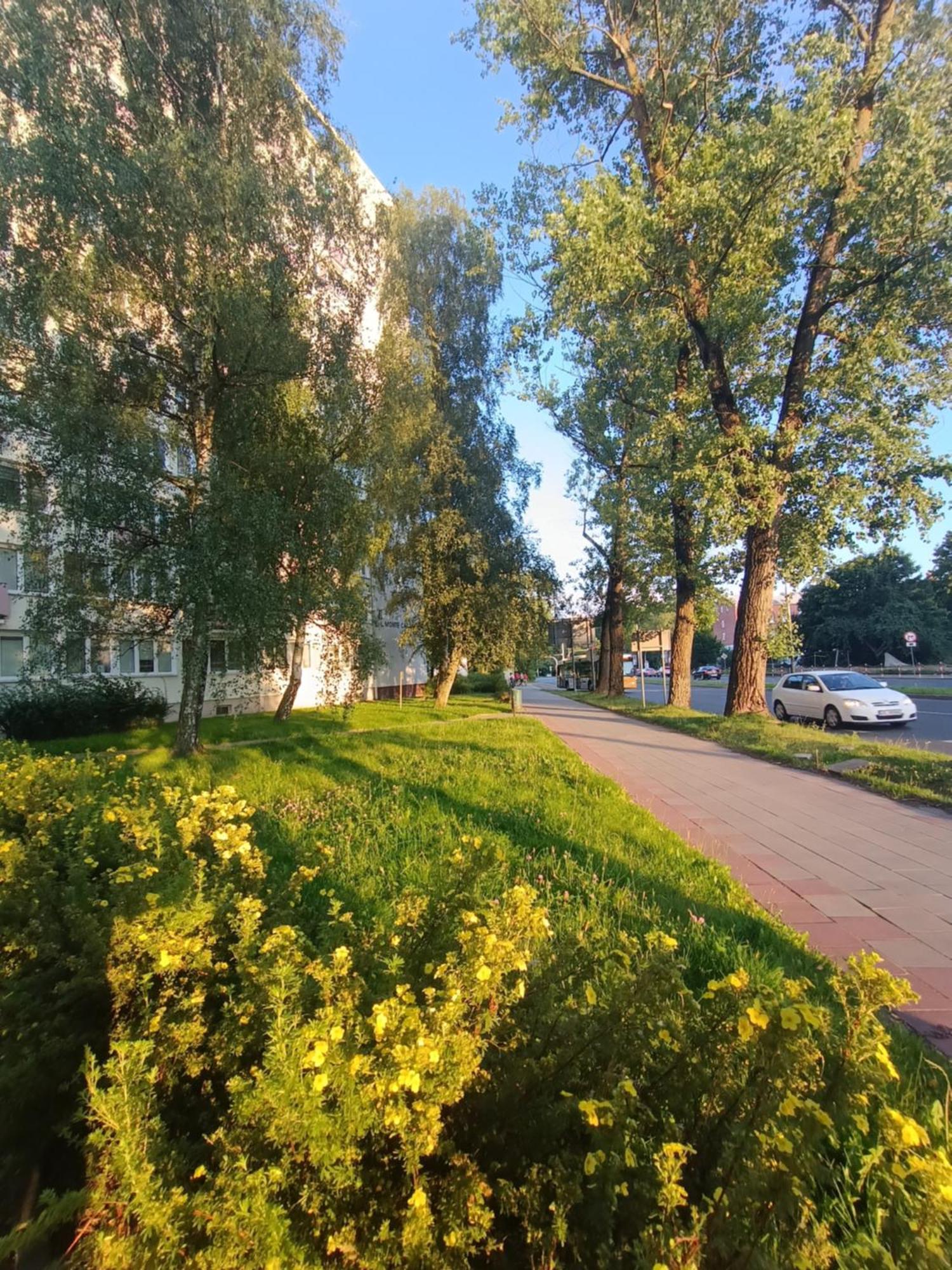 Apartament Retro Blisko Parku *